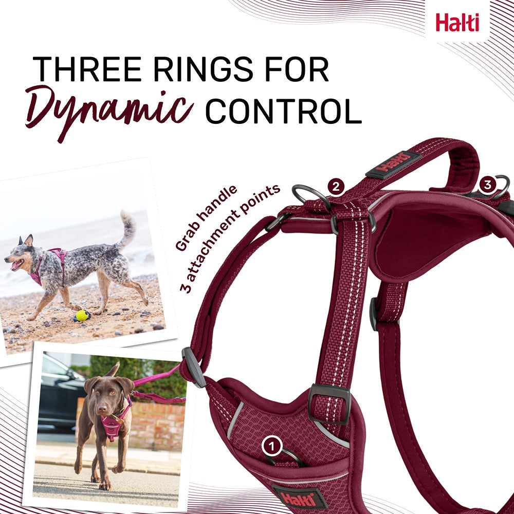 Halti Anatomy Dog Harness Magenta