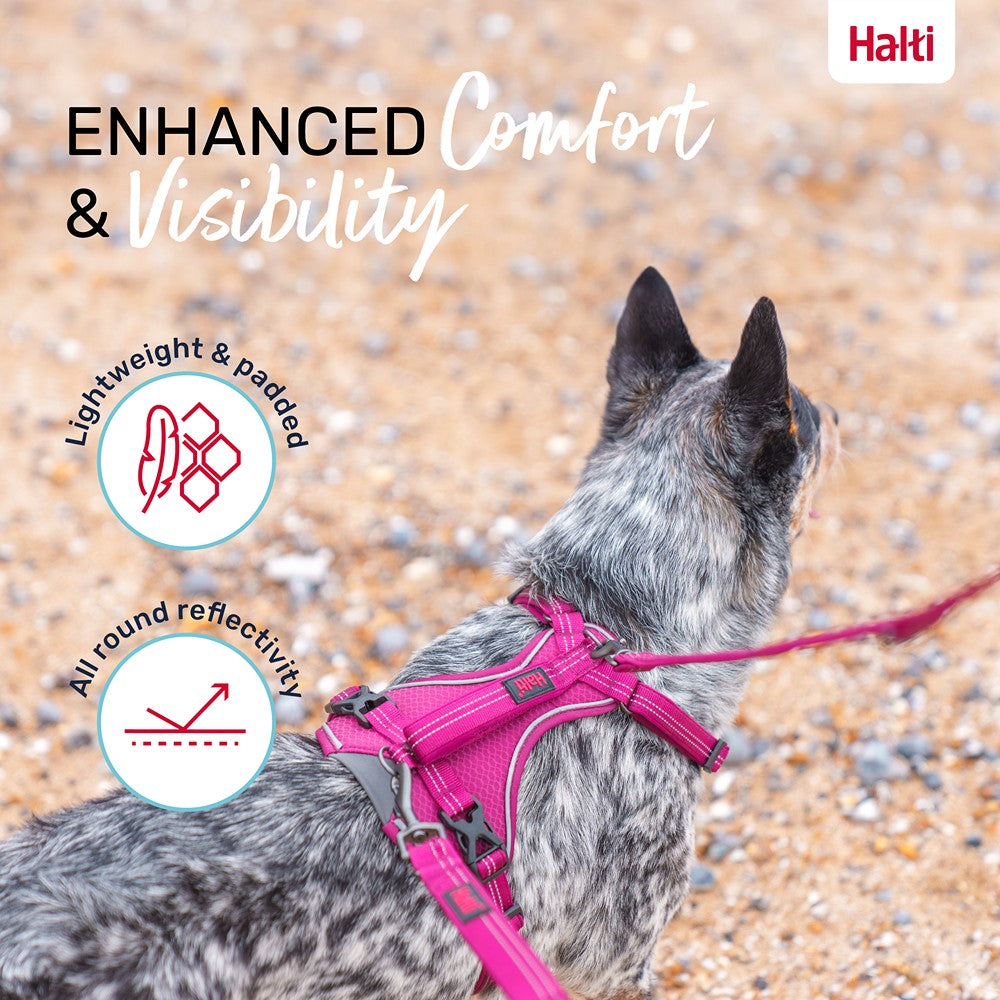 Halti Anatomy Dog Harness Magenta