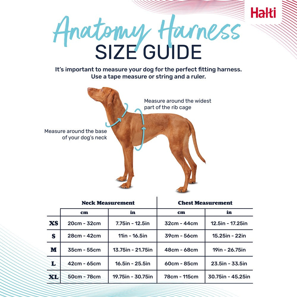 Halti Anatomy Dog Harness Magenta