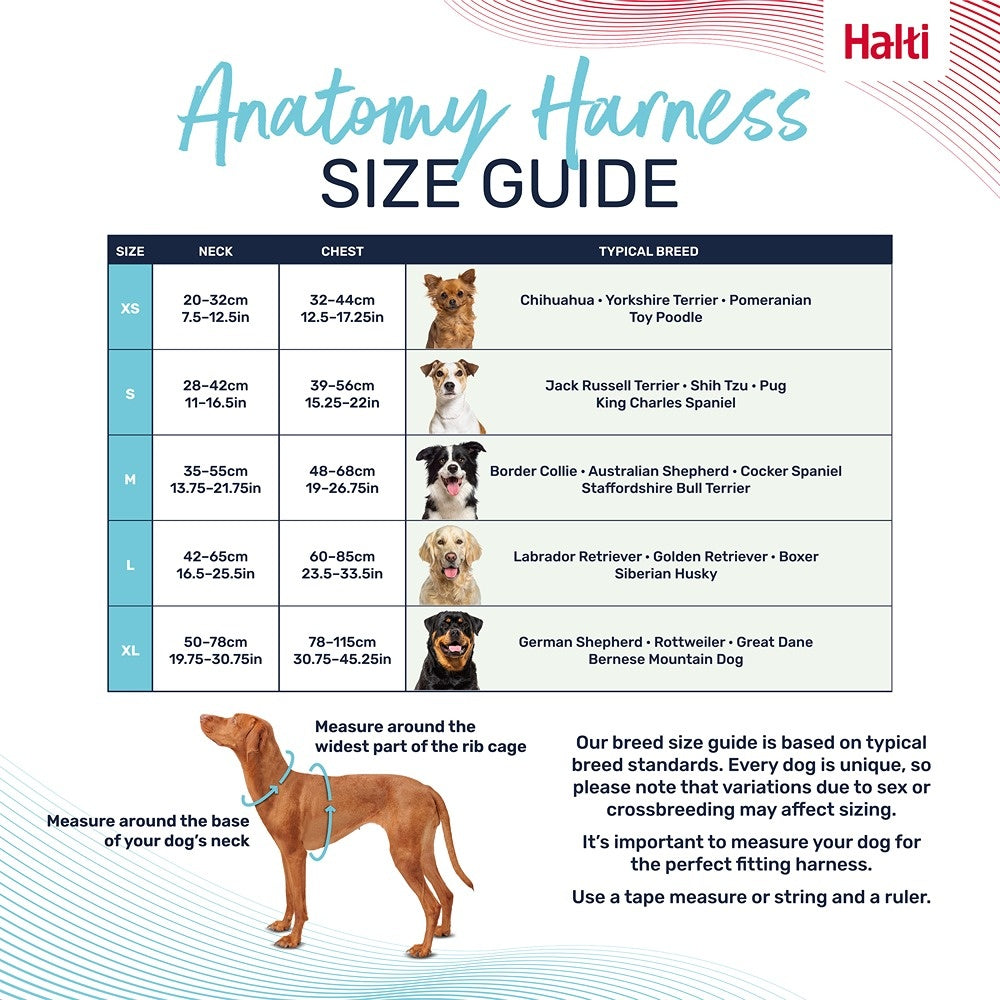 Halti Anatomy Dog Harness Magenta