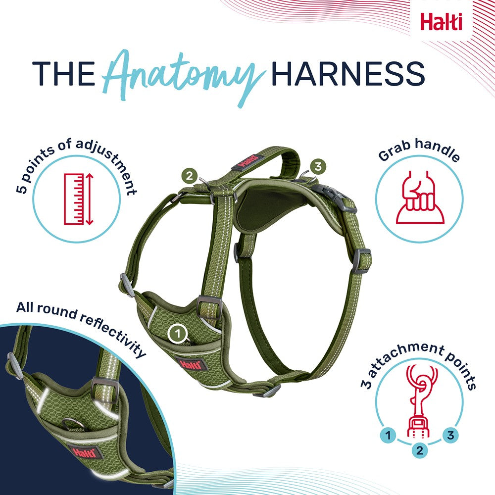 Halti Anatomy Dog Harness Green