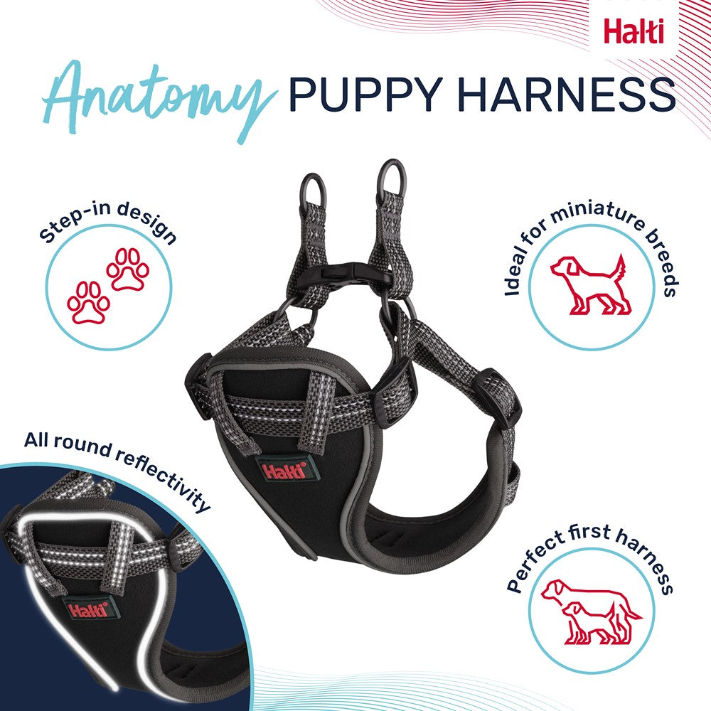 Halti Anatomy Puppy Dog Harness Grey