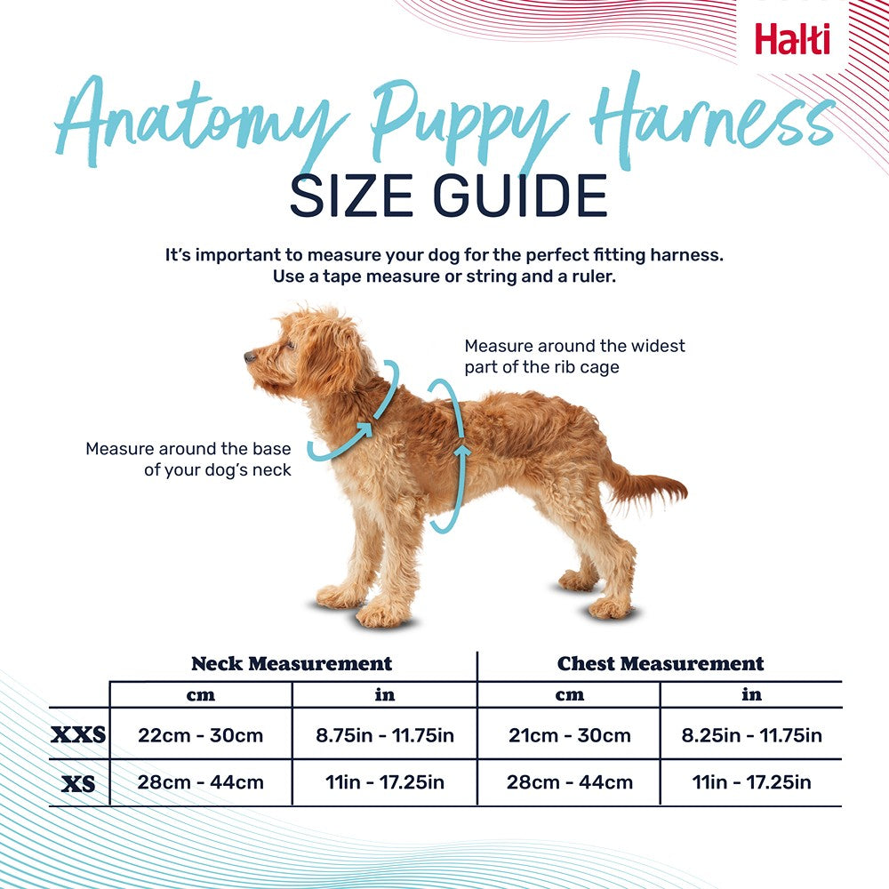 Halti Anatomy Puppy Dog Harness Grey