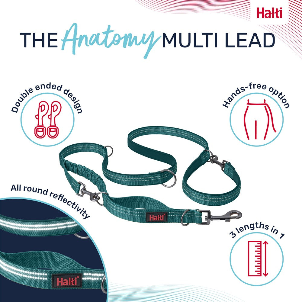 Halti Anatomy Multi Dog Lead Teal