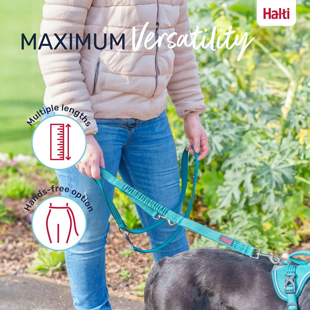 Halti Anatomy Multi Dog Lead Magenta