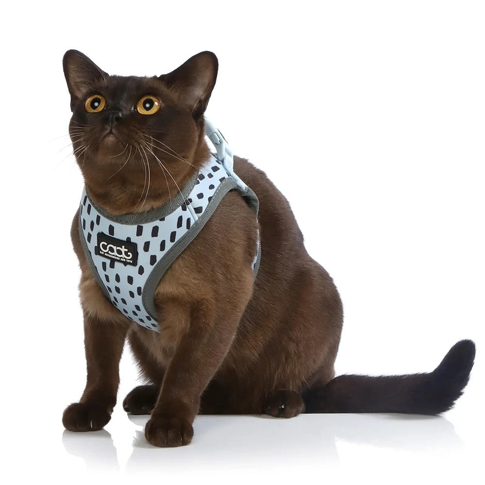 CAAT Neoflex Cat Harness and Leash Kit Dash