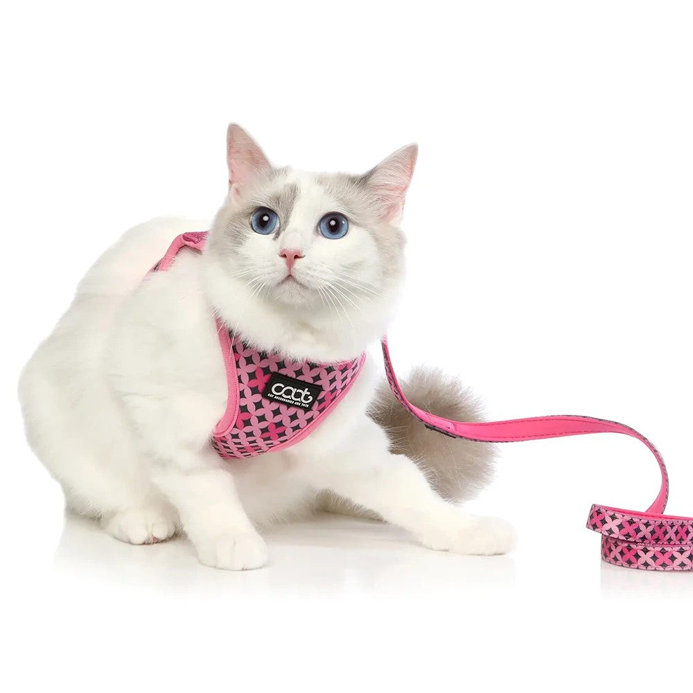 CAAT Neoflex Cat Harness and Leash Kit Dash