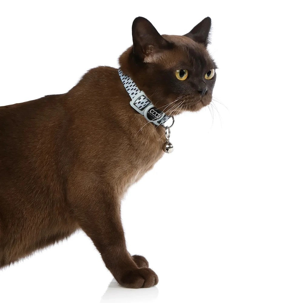 CAAT Nylon Kitten Collar Dash