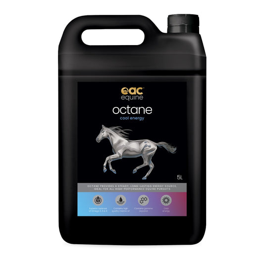 Evolution Octane Performance Horse Supplement