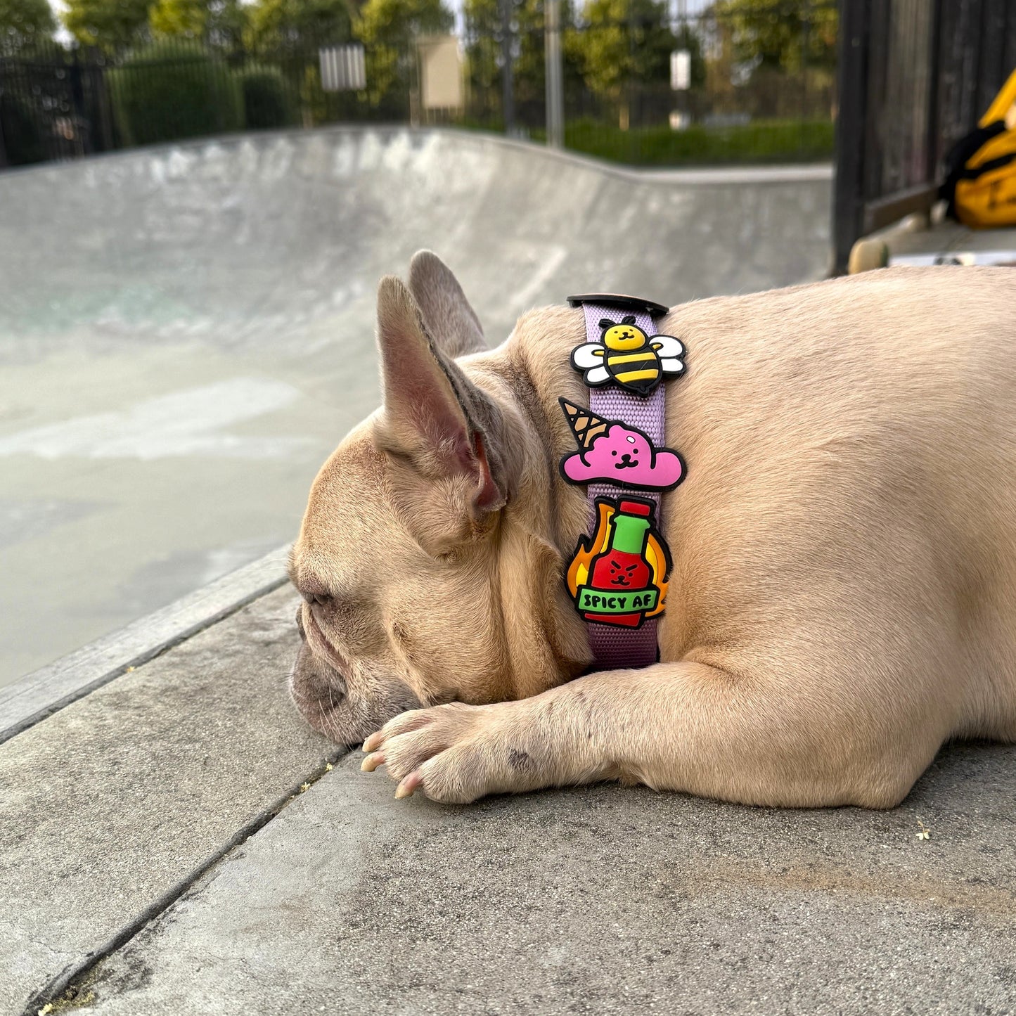 Jiby Ice Cream Dog Charm