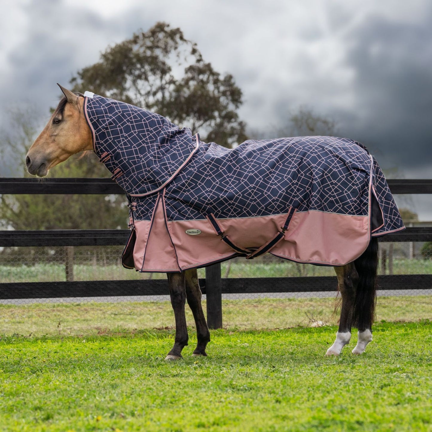 Caribu Alpine Detach-a-Neck Horse Rug 100g Rose Geo
