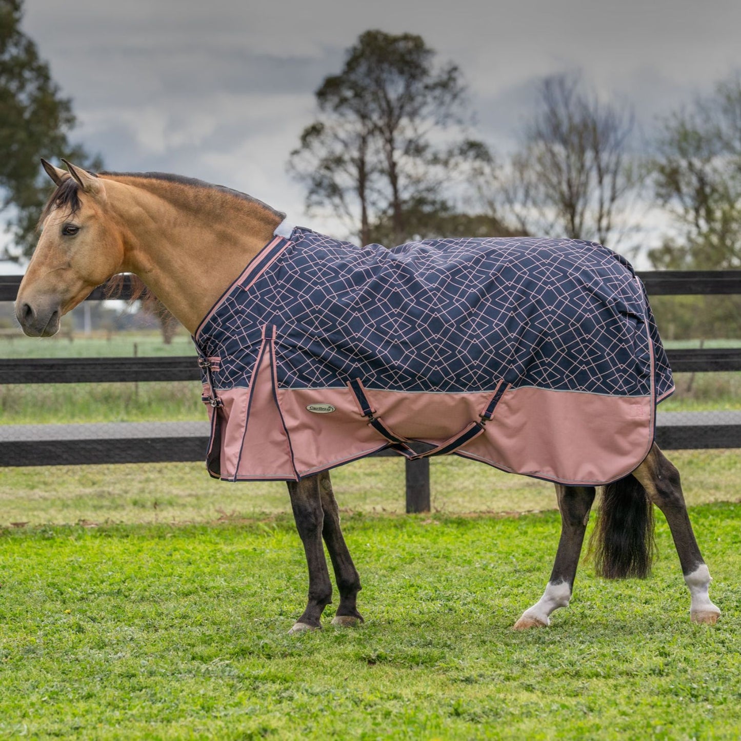 Caribu Alpine Detach-a-Neck Horse Rug 100g Rose Geo