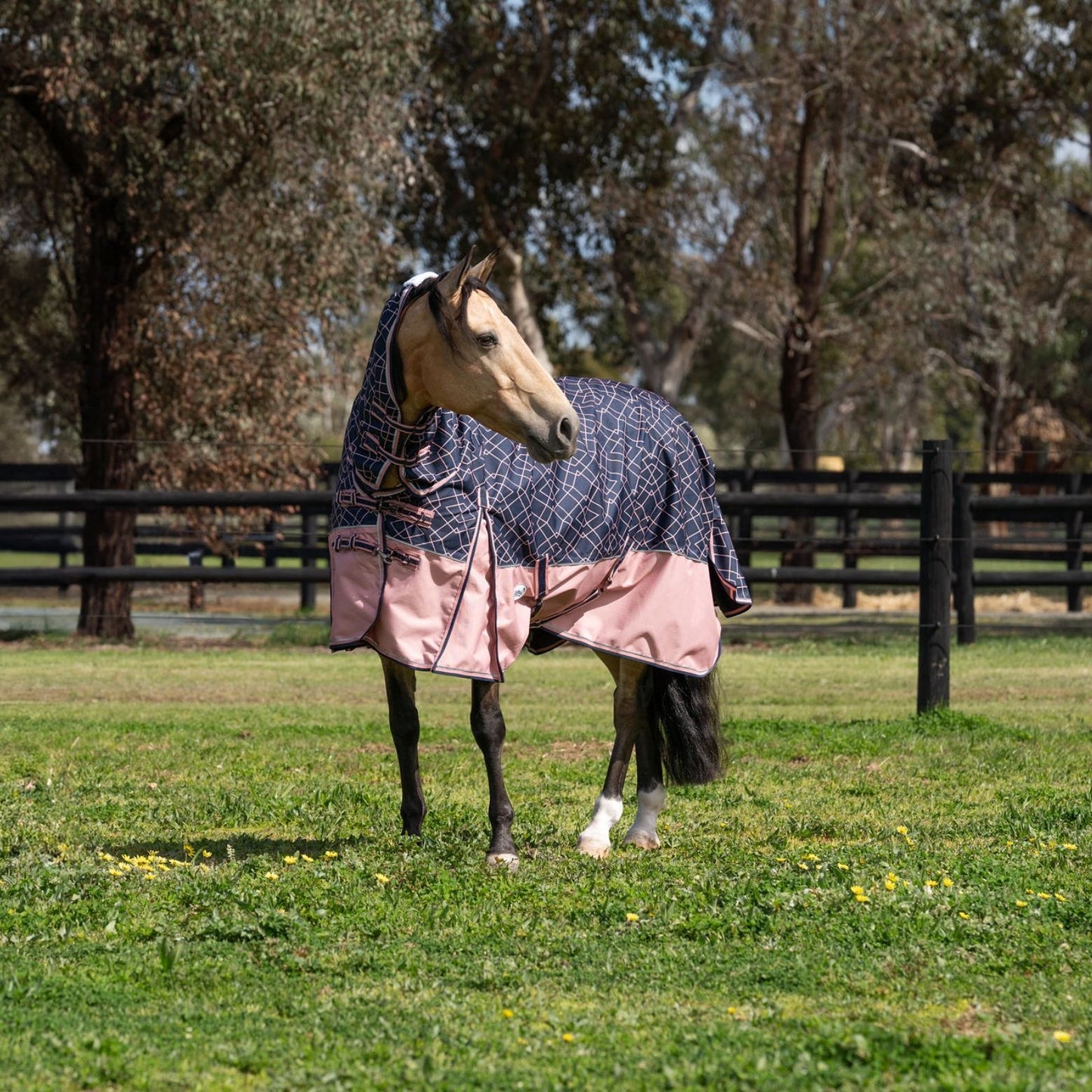 Caribu Alpine Detach-a-Neck Horse Rug 100g Rose Geo