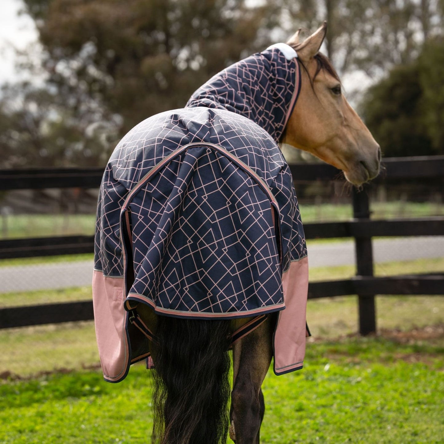 Caribu Alpine Detach-a-Neck Horse Rug 100g Rose Geo