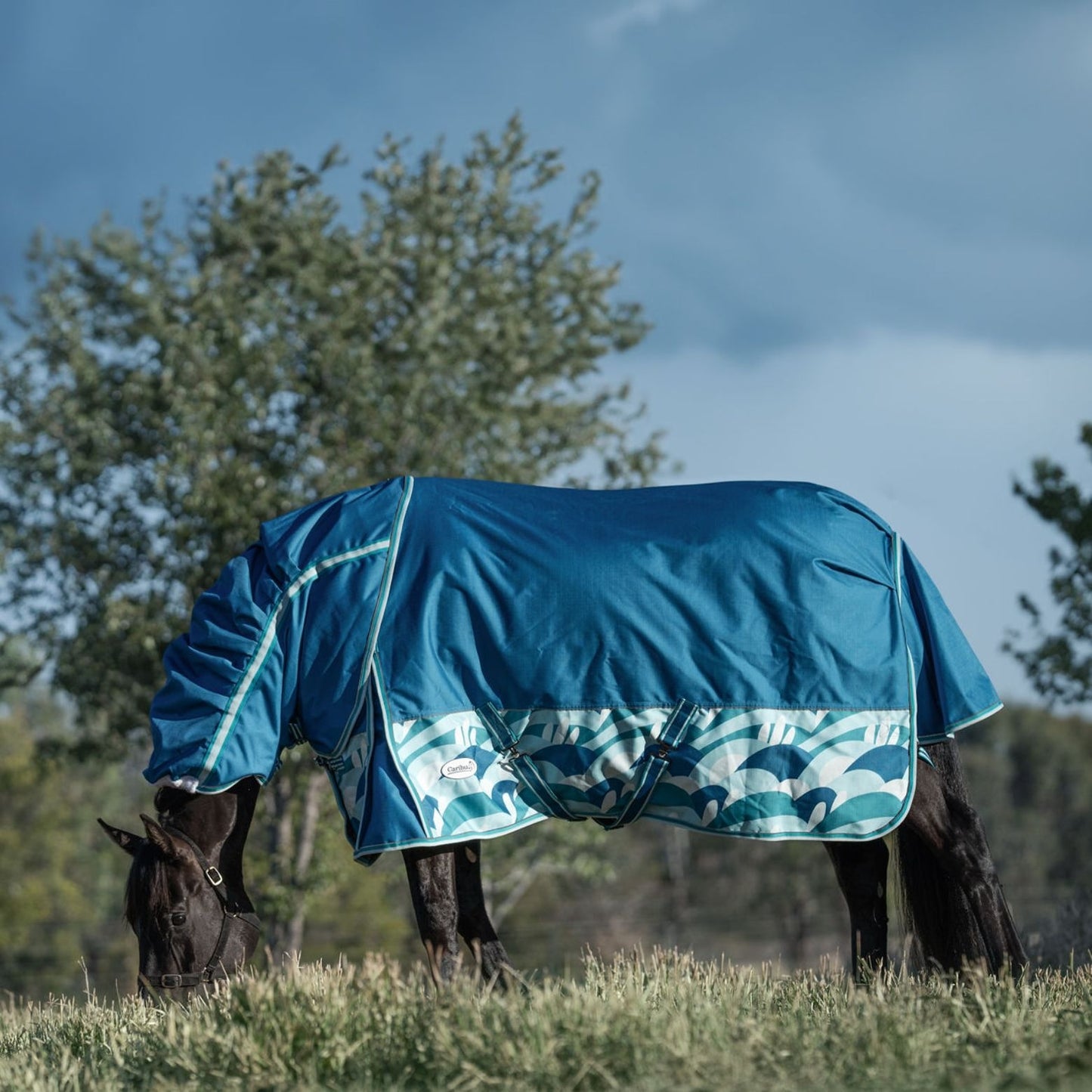 Caribu Alpine Scrunch Detach-a-Neck Horse Rug 100g Ocean Crest