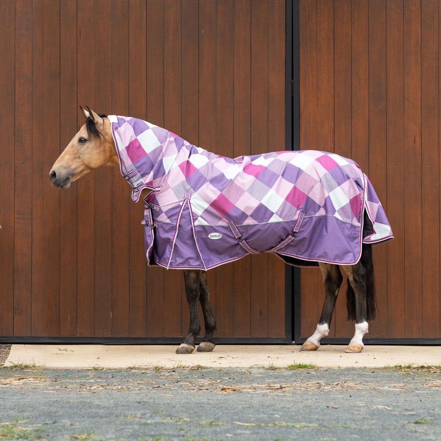 Caribu Eclipse Combo Rainsheet 1200D Orchid Gem