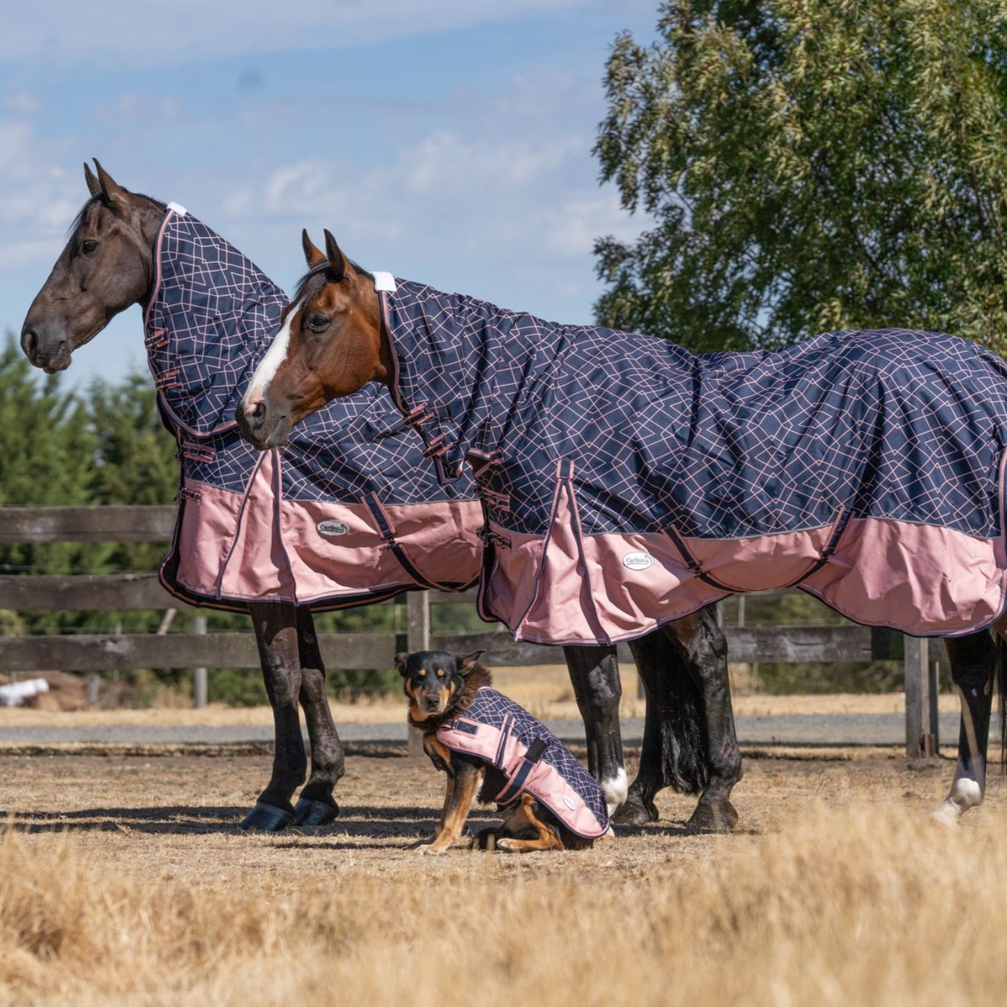 Caribu Eclipse Combo Rainsheet 1200D Rose Geo