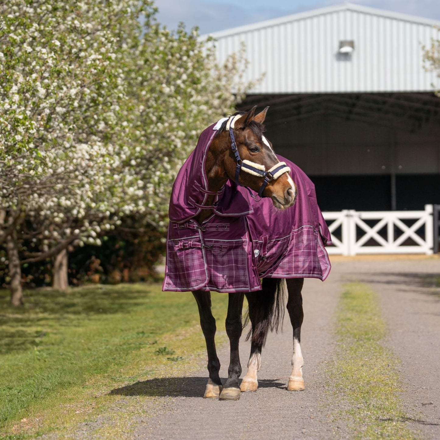 Caribu Flinders Detach-a-Neck Rainsheet 1200D Plum Tartan