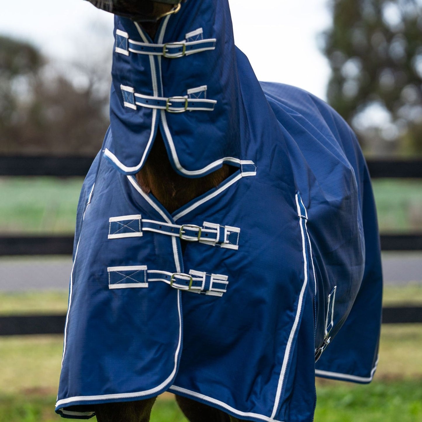 Kingsley Combo Horse Rug 180g Navy