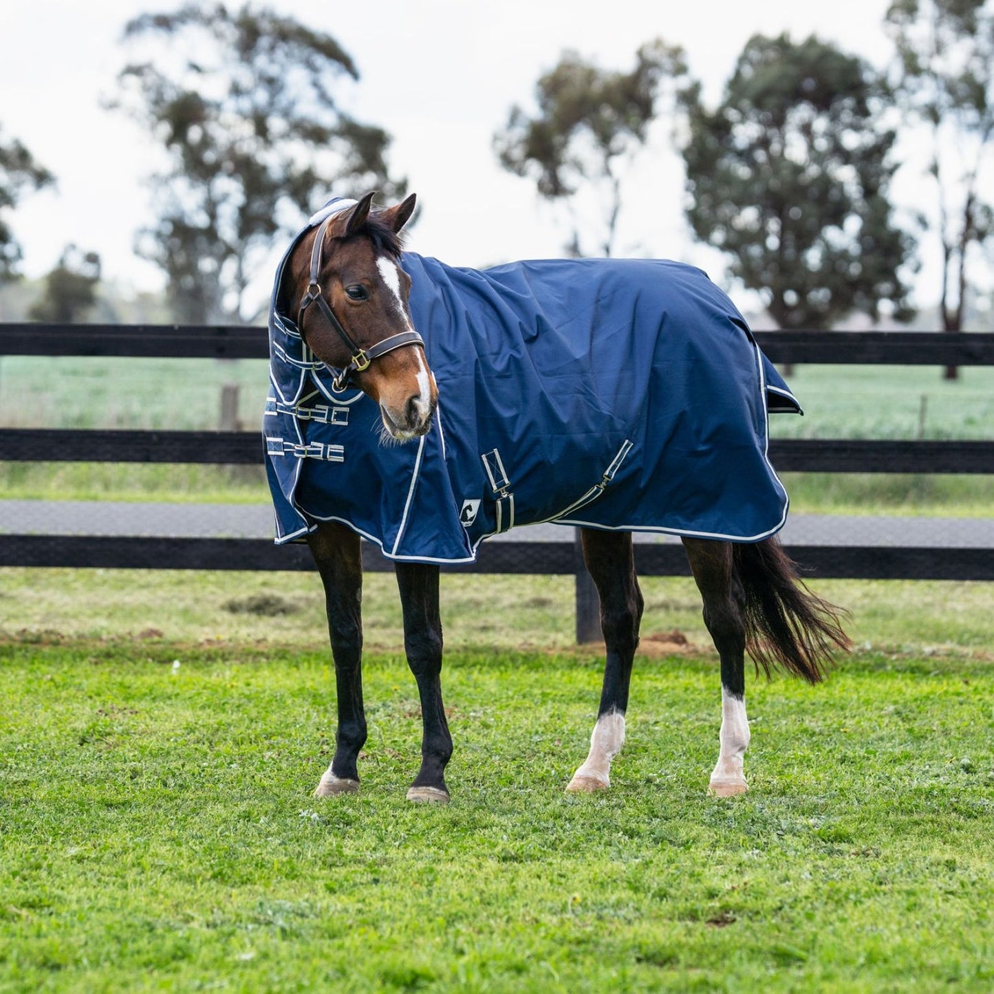 Kingsley Combo Horse Rug 180g Navy