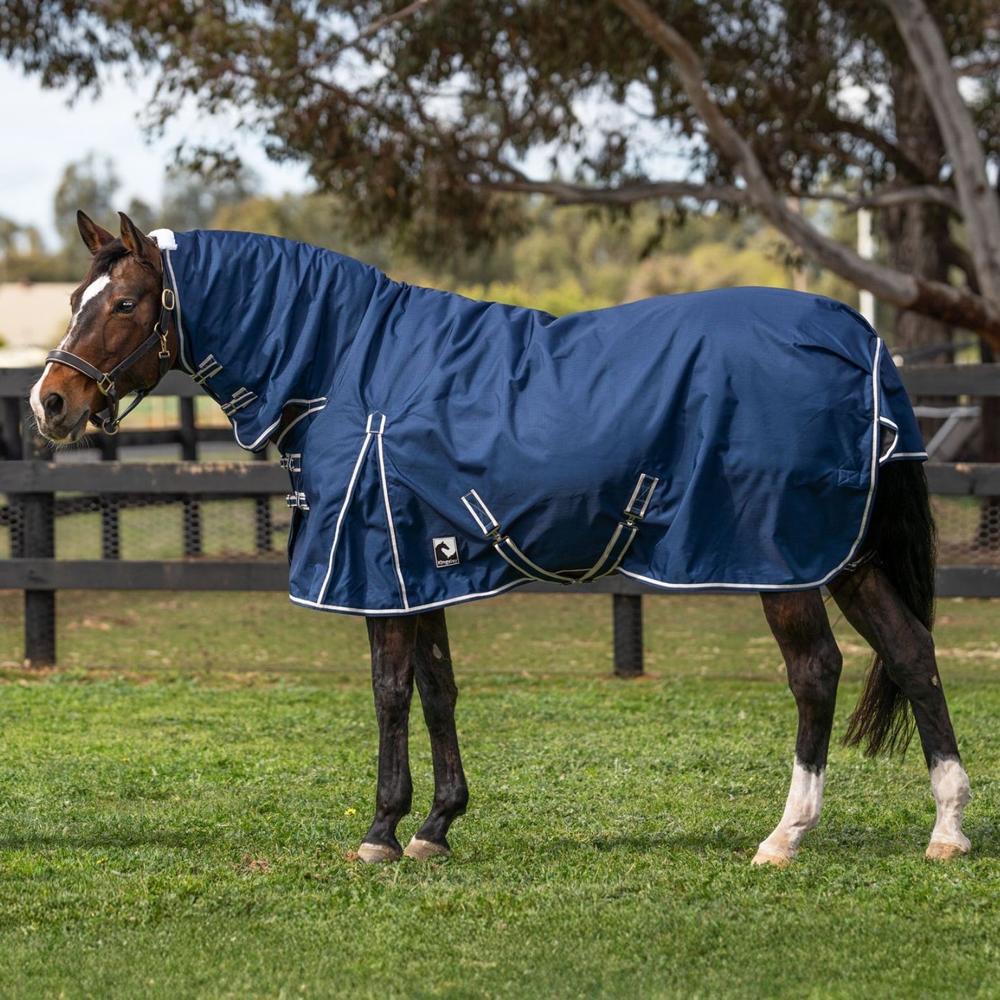 Kingsley Combo Horse Rug 180g Navy