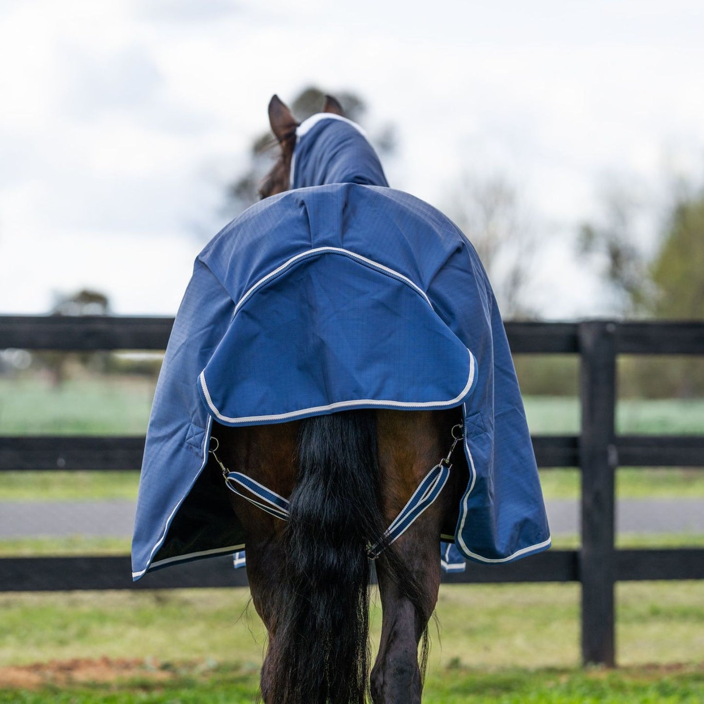 Kingsley Combo Horse Rug 180g Navy
