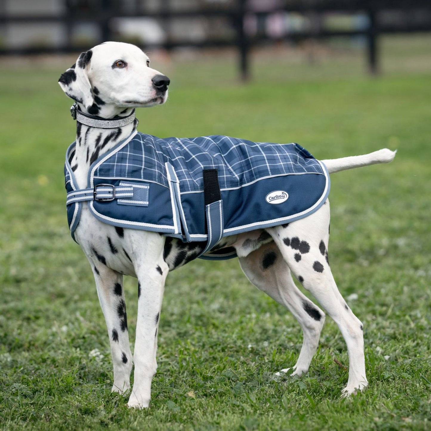 Caribu Alpine Dog Coat Classic Tartan