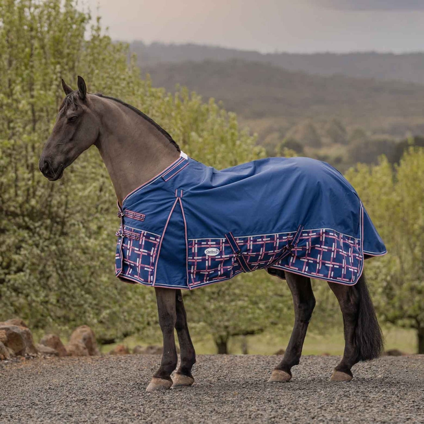 Caribu Alpine XL Gusset Detach-a-Neck Horse Rug 100g Navy Check