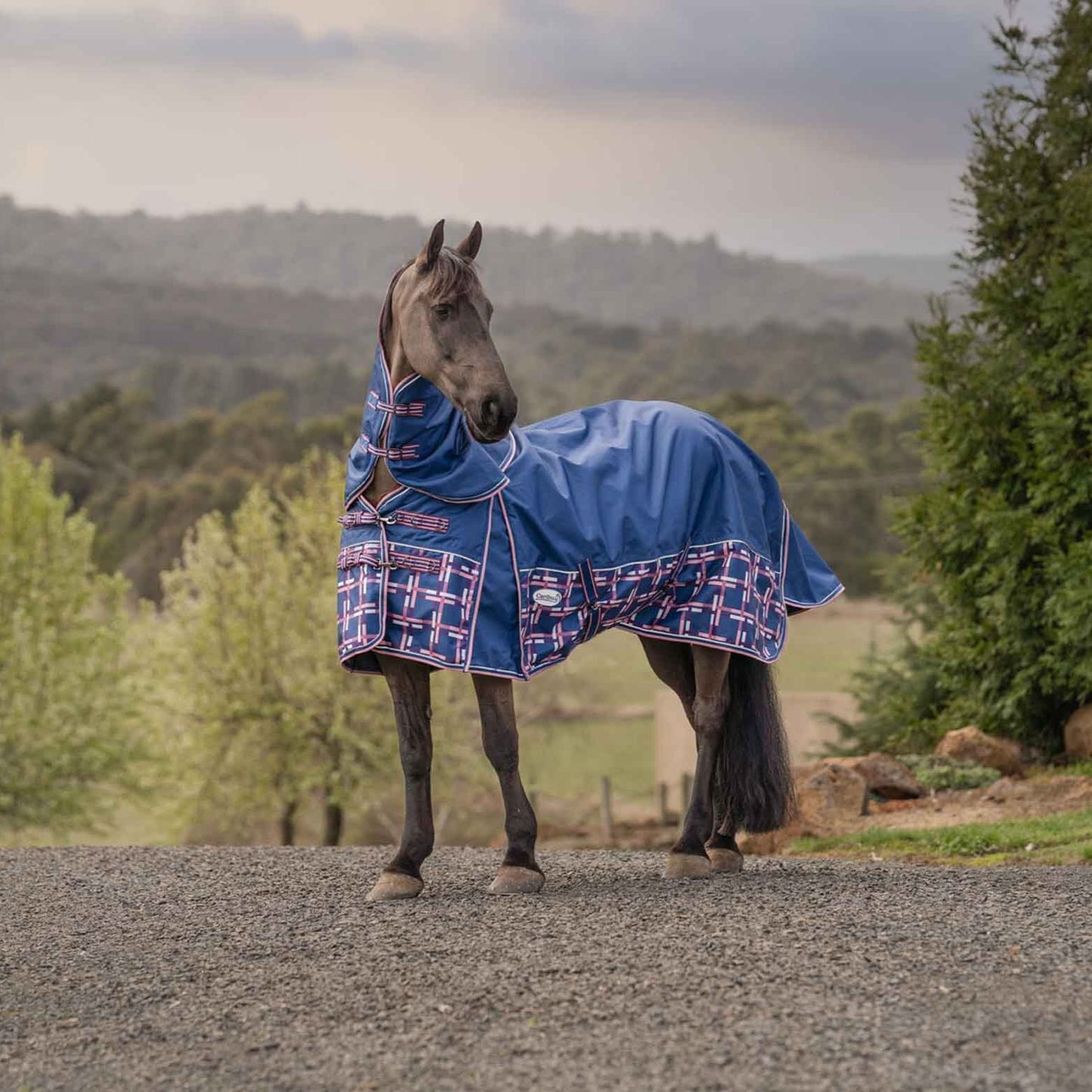 Caribu Alpine XL Gusset Detach-a-Neck Horse Rug 100g Navy Check