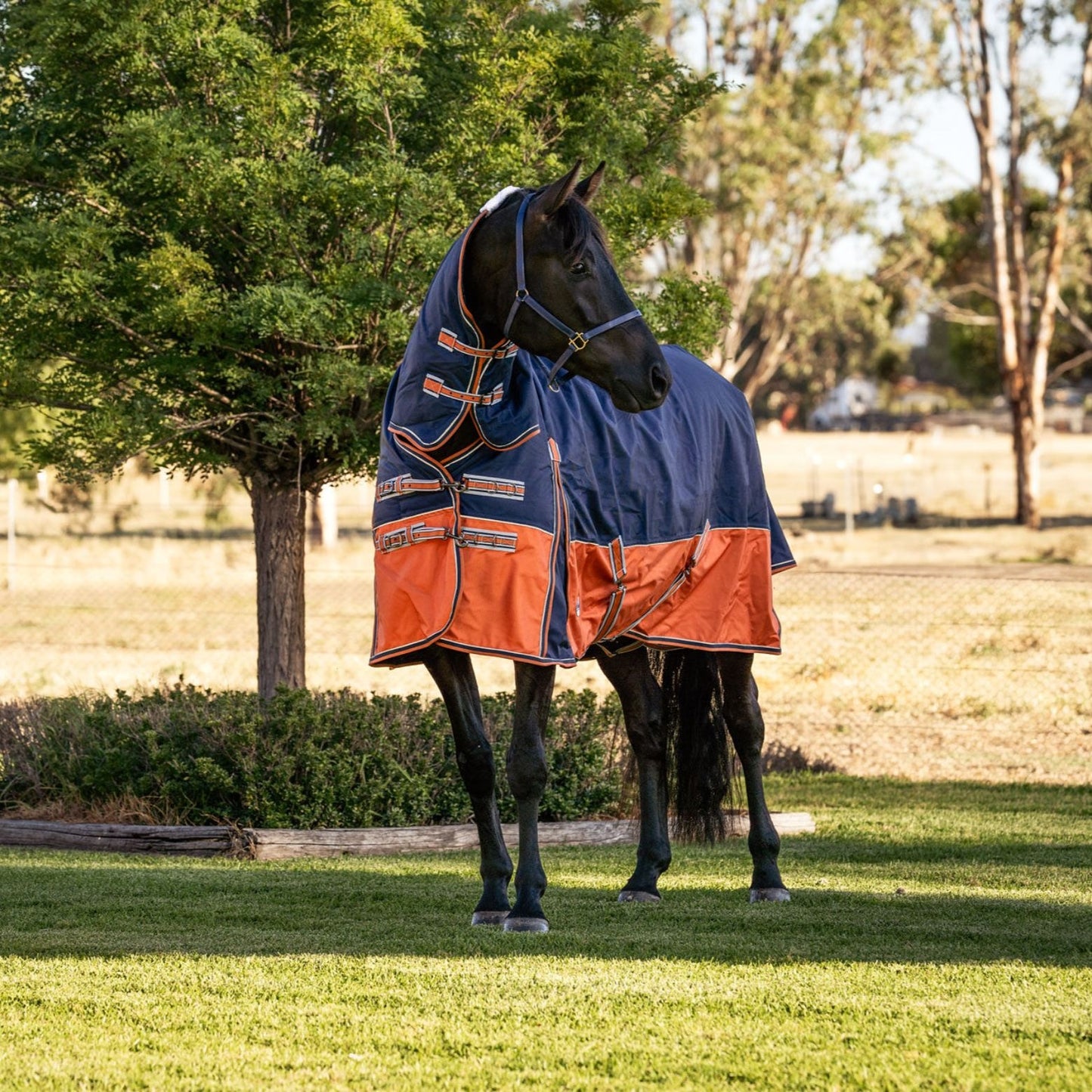 Caribu Colorado Combo Horse Rug 300g Navy/Kumquat