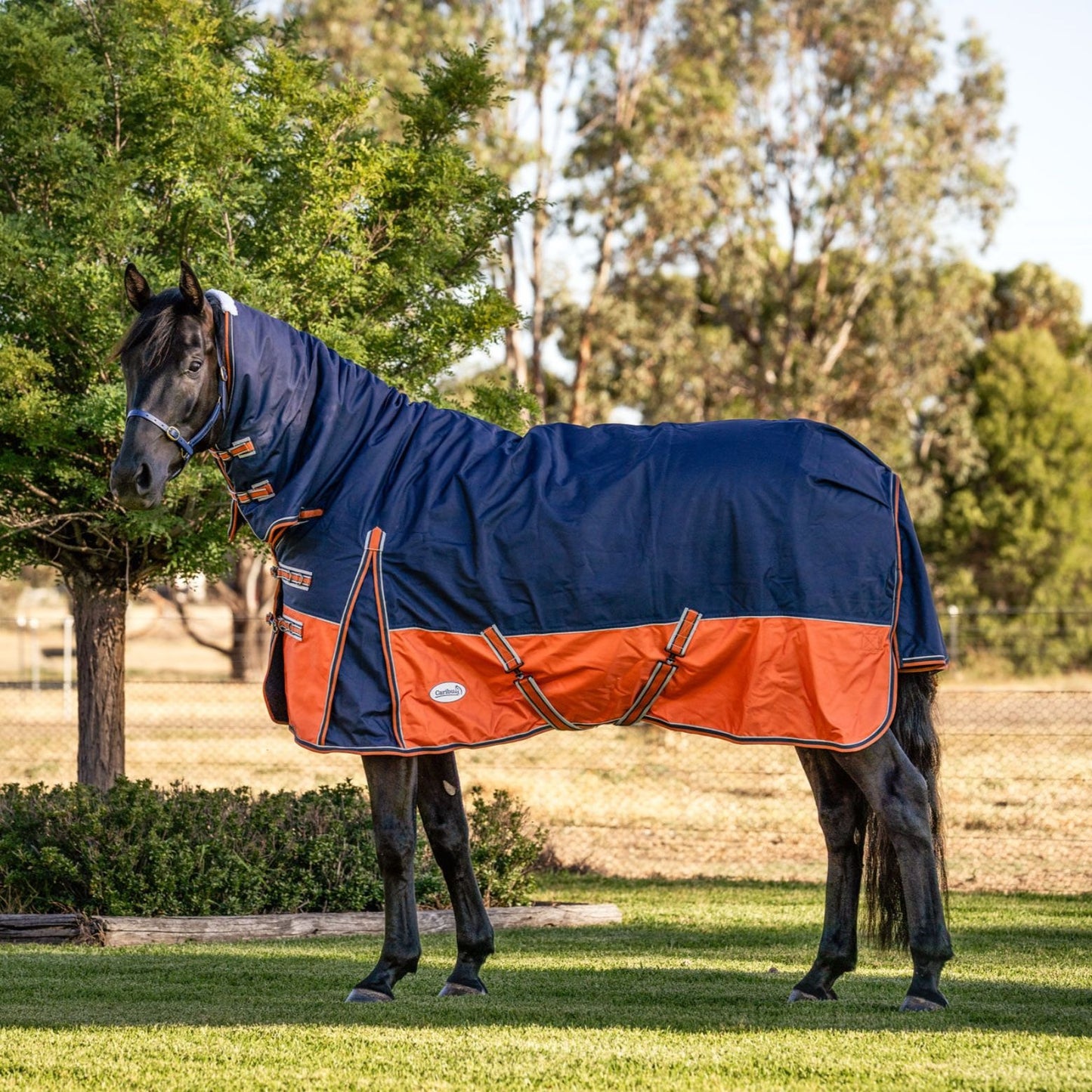 Caribu Colorado Combo Horse Rug 300g Navy/Kumquat