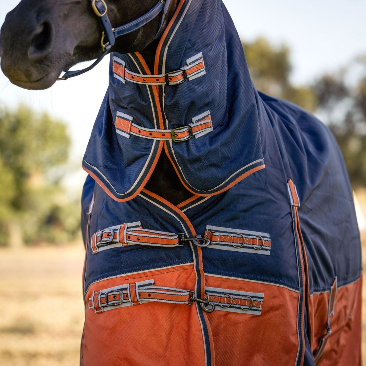 Caribu Colorado Combo Horse Rug 300g Navy/Kumquat