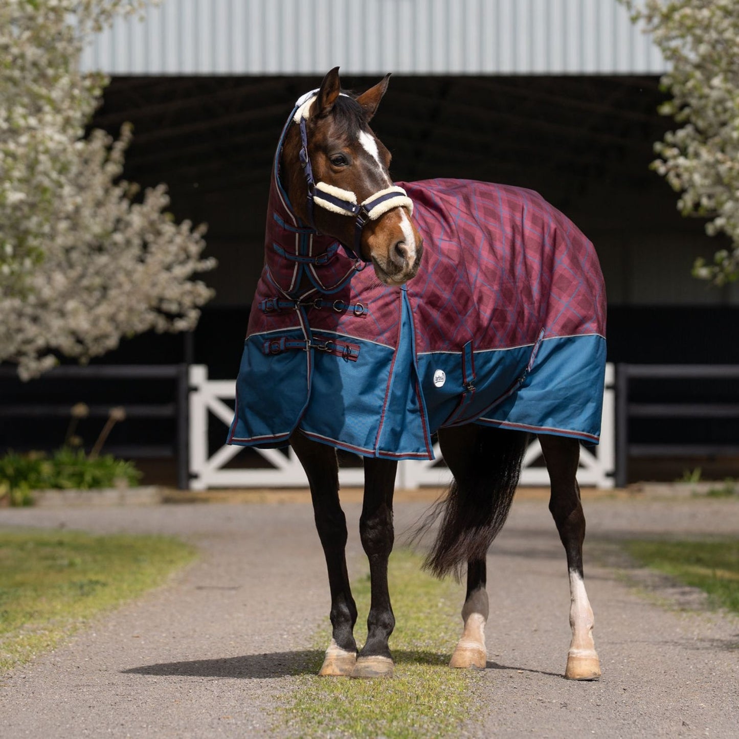 Caribu Alpine Combo Horse Rug 300g Merlot Tartan