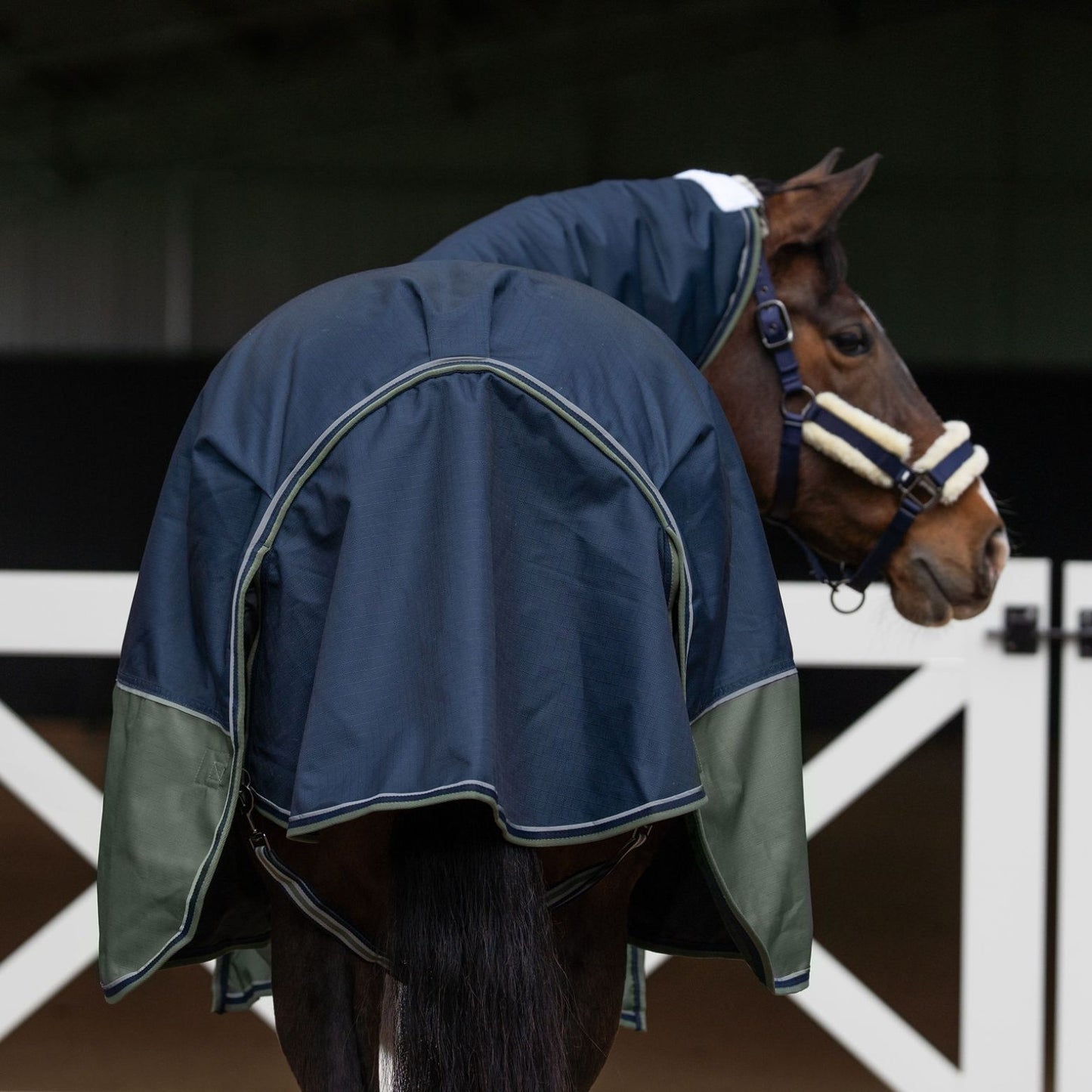 Caribu Alpine Combo Horse Rug 300g Navy/Green