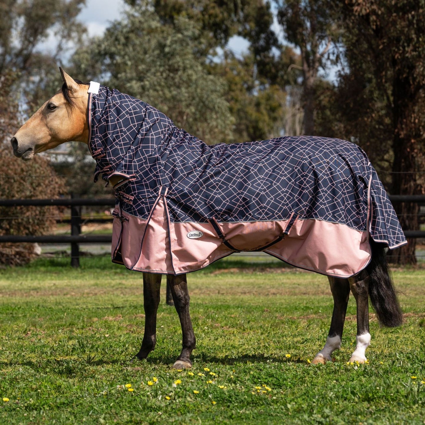 Caribu Eclipse Combo Rainsheet 1200D Rose Geo