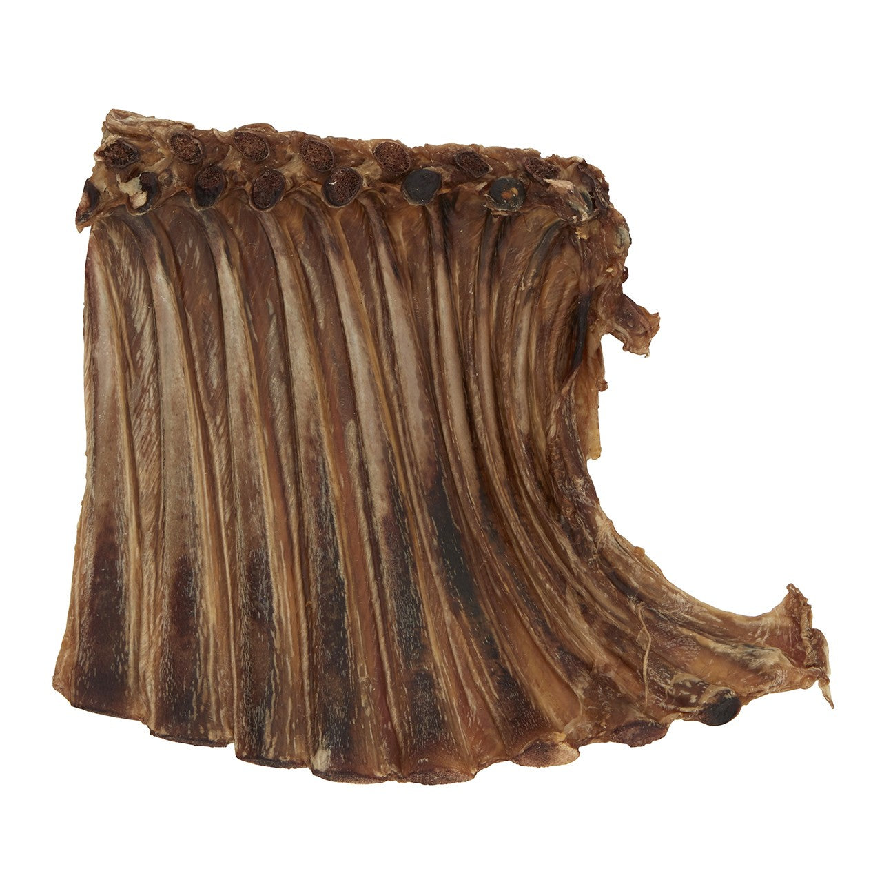 Dog n Bone Veal Rib Dog Treat