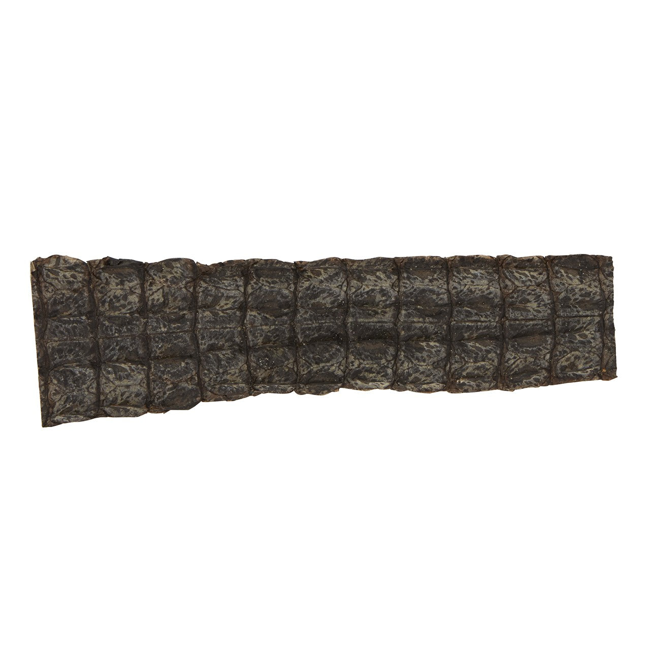 Dog n Bone Crocodile Skin Dog Treat