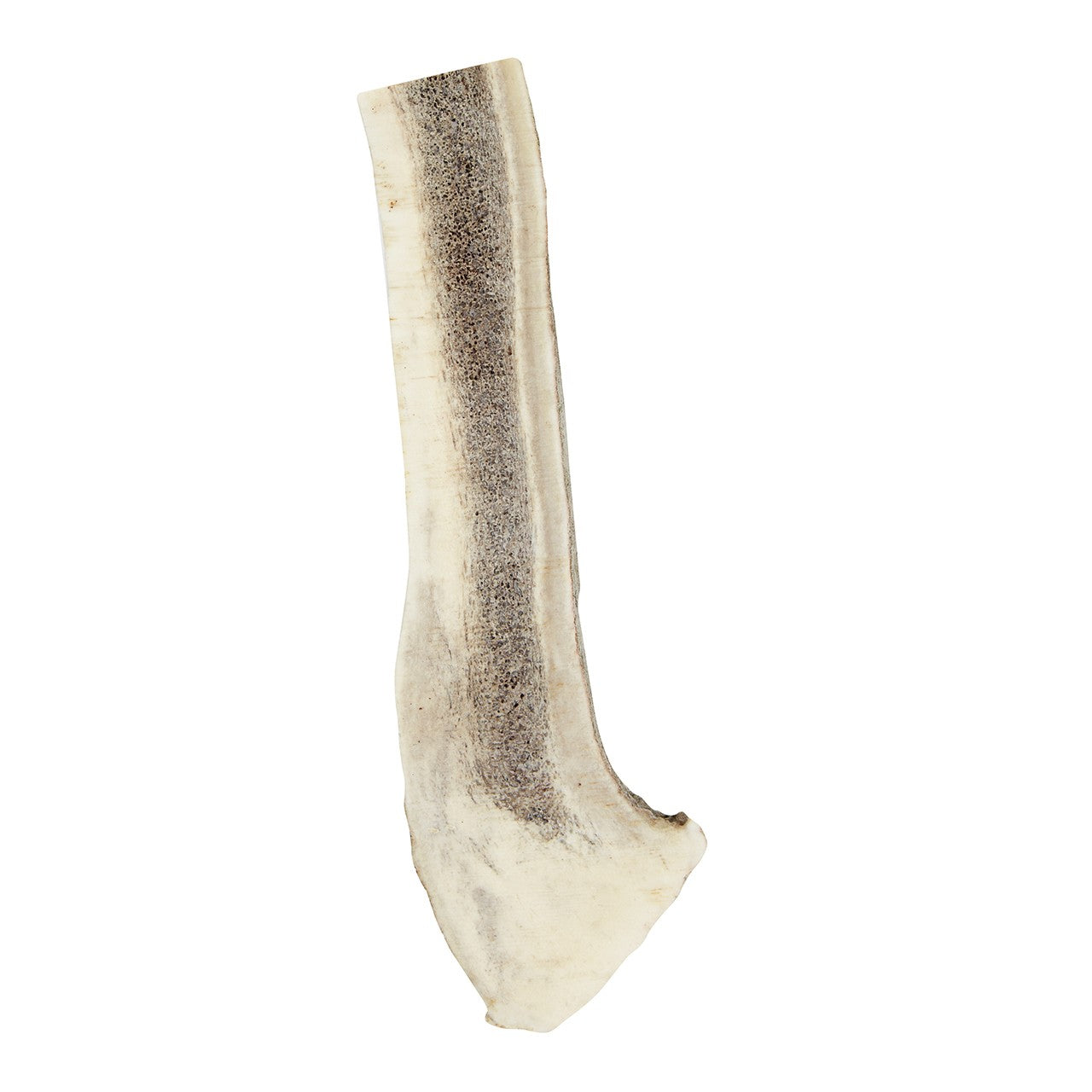 Dog n Bone Split Antler Dog Treat