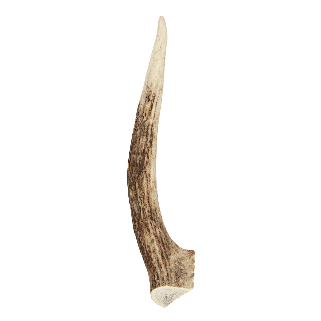 Dog n Bone Whole Antler Dog Treat