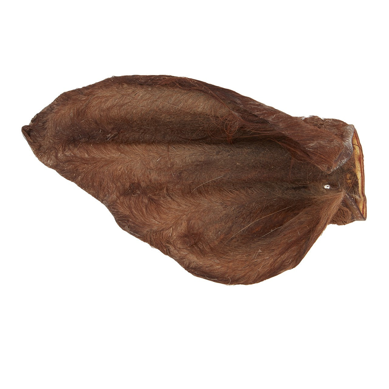 Dog n Bone Beef Ear with Hair Dog Treat