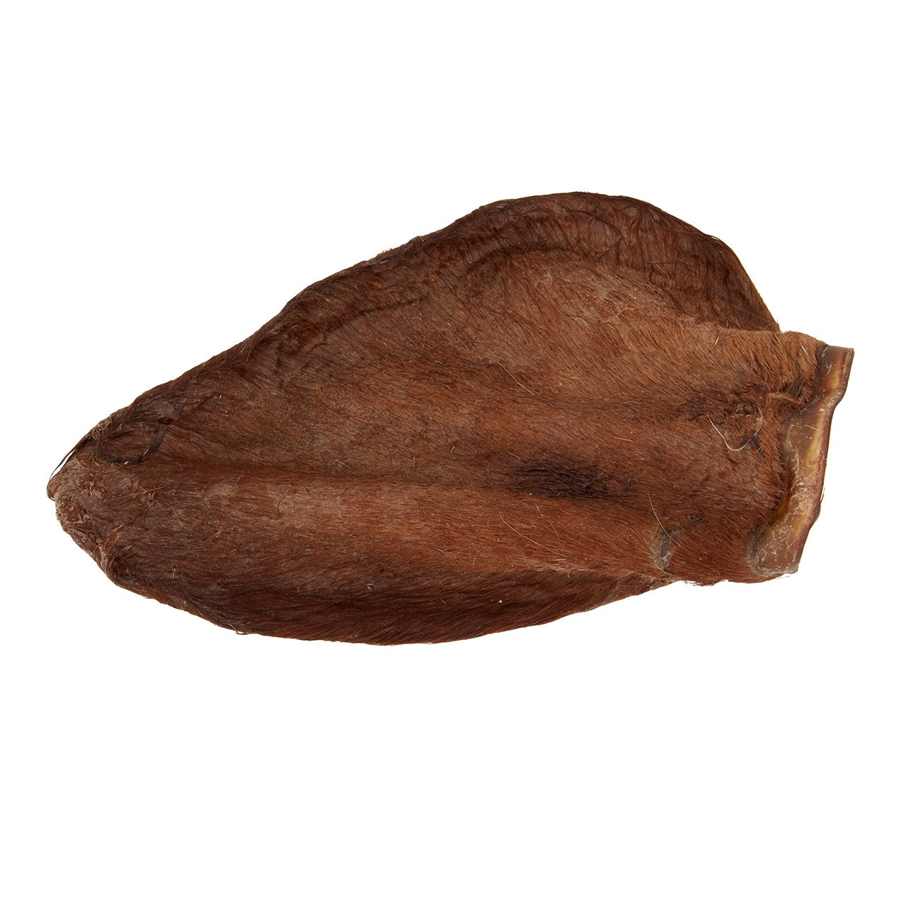 Dog n Bone Beef Ear with Hair Dog Treat