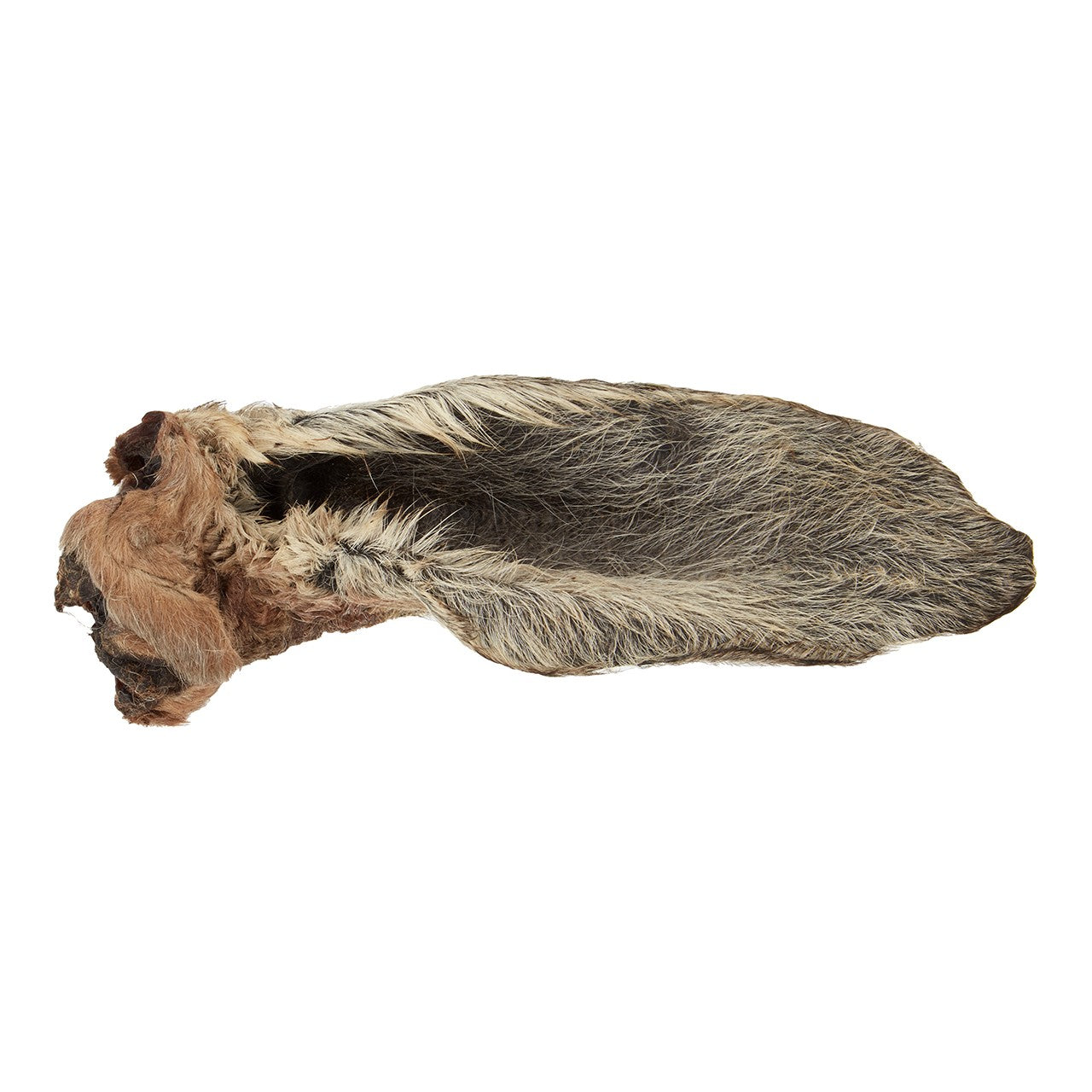 Dog n Bone Kangaroo Ear Dog Treat