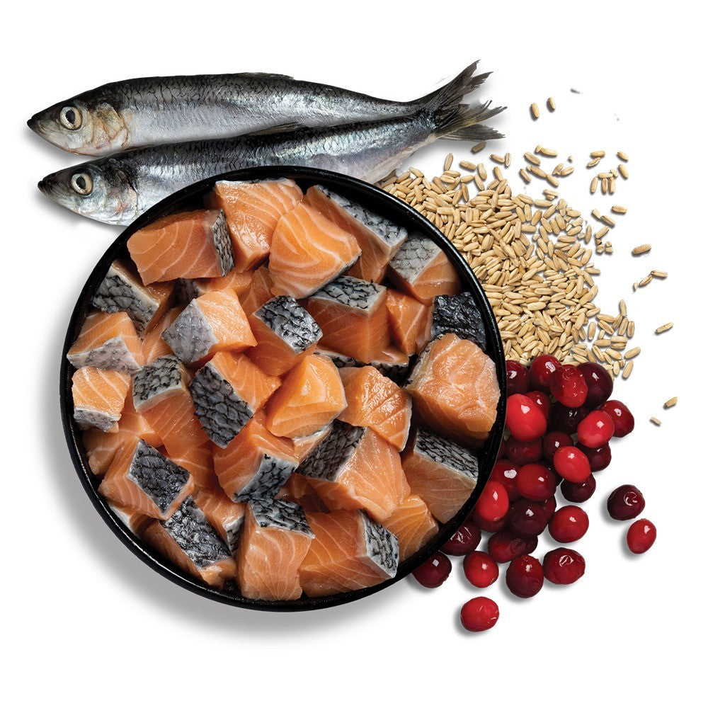 Acana Bountiful Catch Adult Dry Cat Food