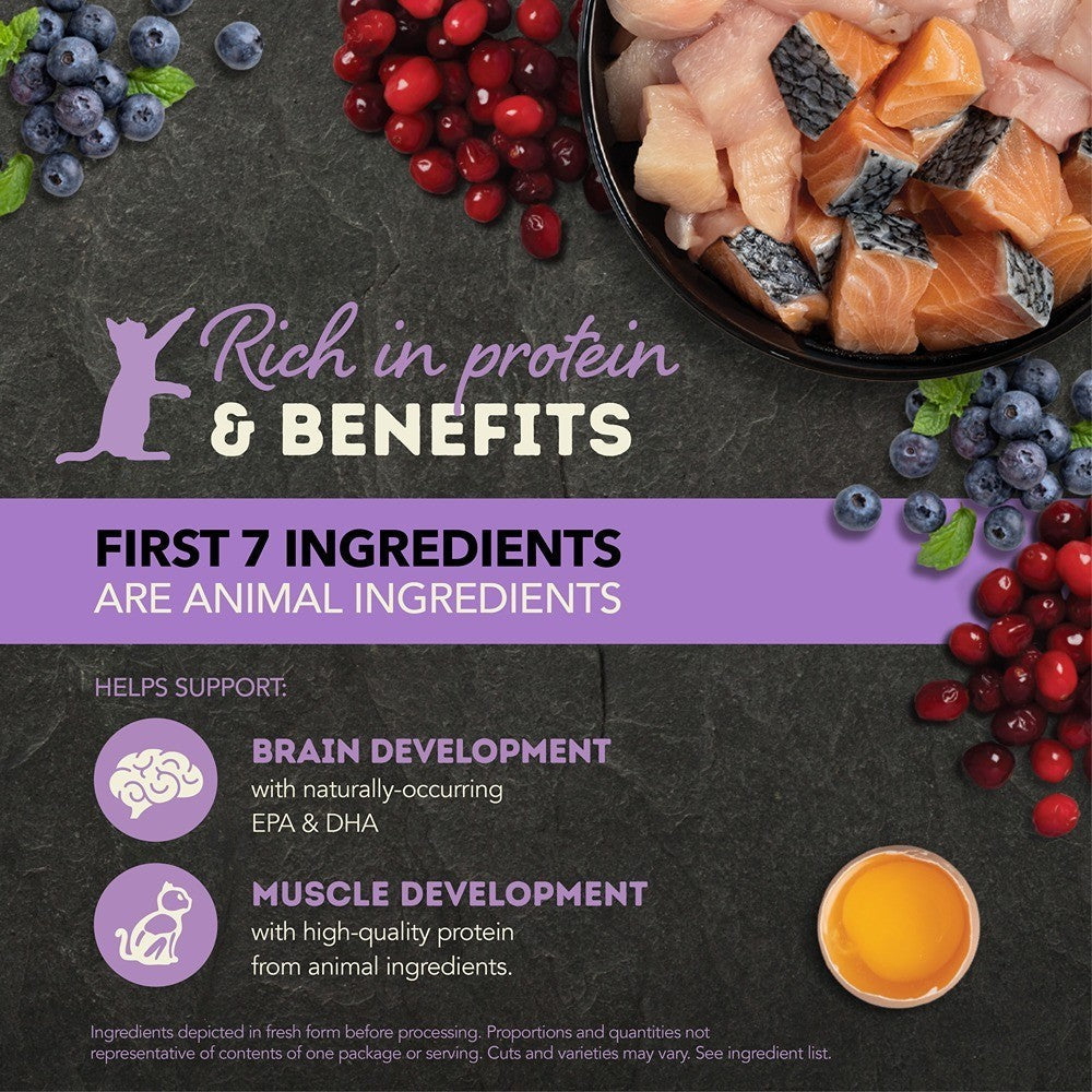 Acana Chunks in Broth Chicken & Salmon Kitten Wet Cat Food