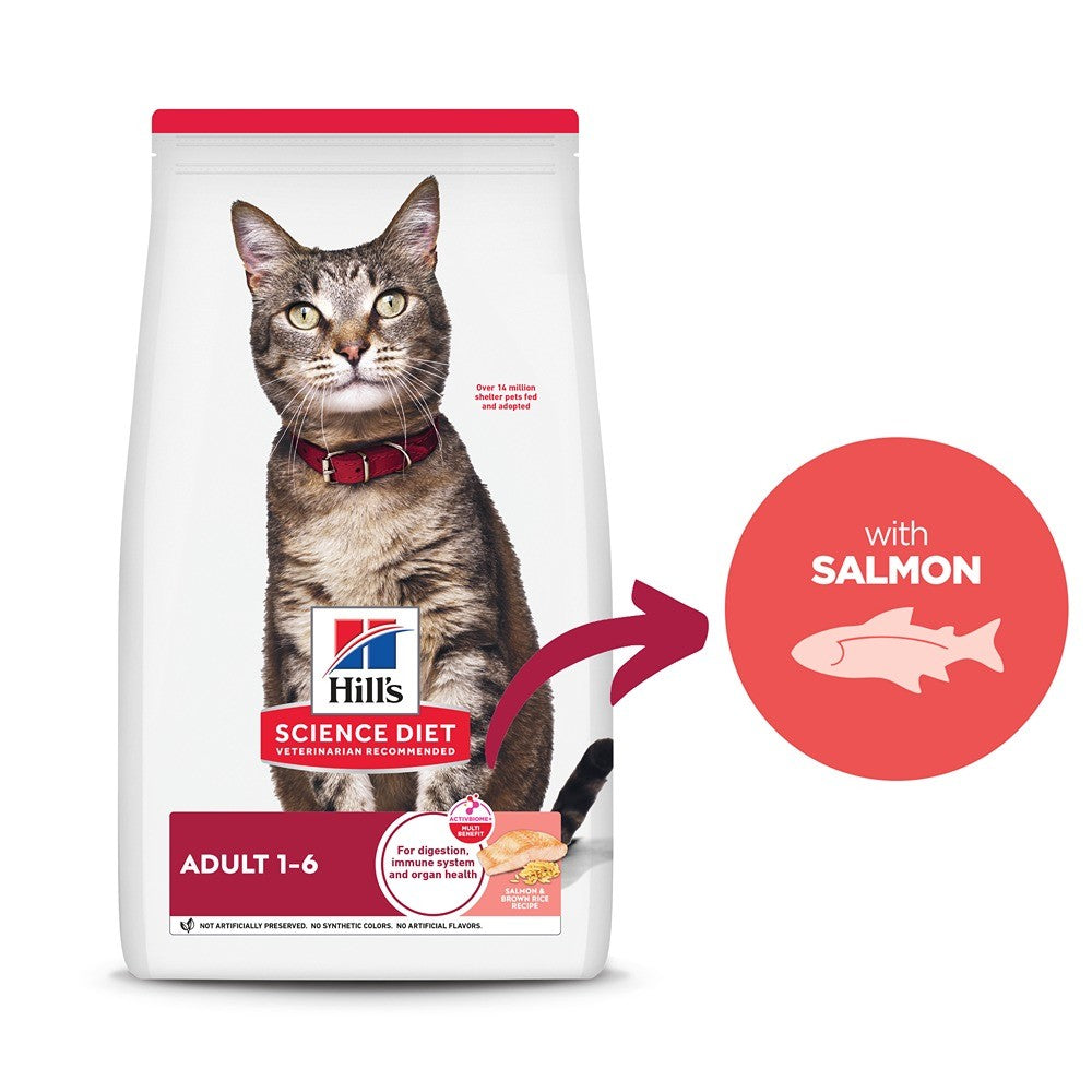 Hill's Science Diet Adult Salmon & Brown Rice Recipe Dry Cat Food
