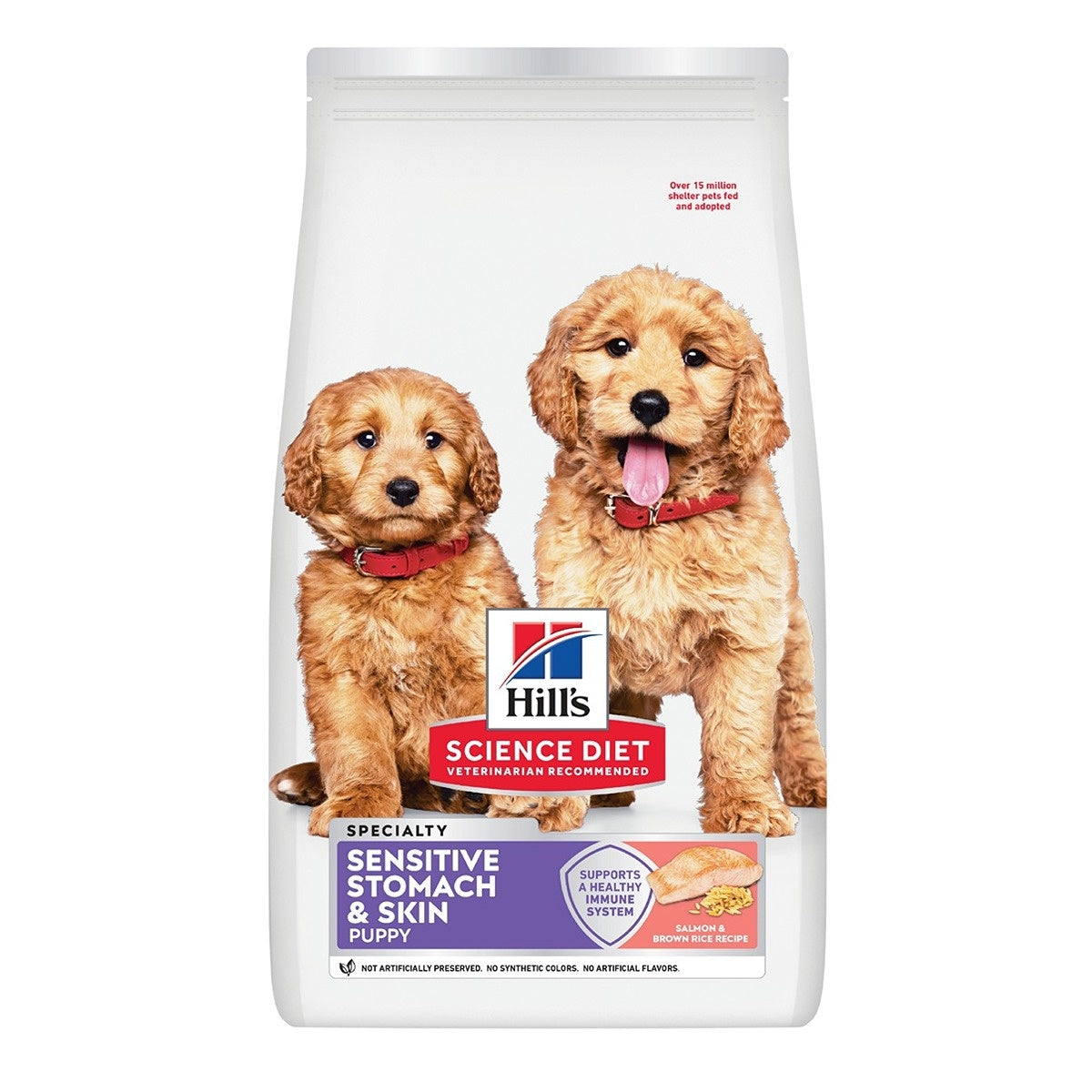 Hill's Science Diet Puppy Sensitive Stomach & Skin Salmon Dry Dog Food