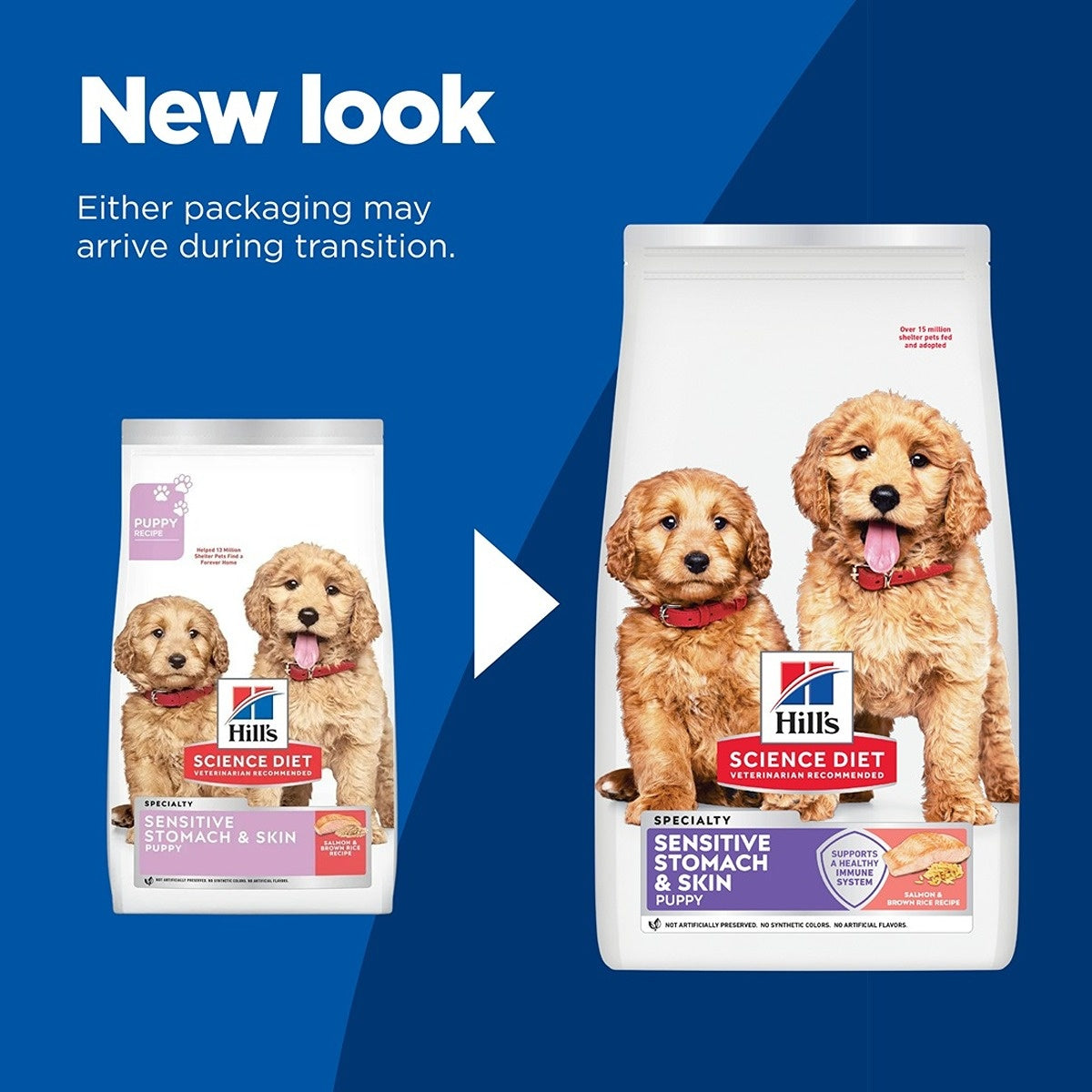 Hill's Science Diet Puppy Sensitive Stomach & Skin Salmon Dry Dog Food