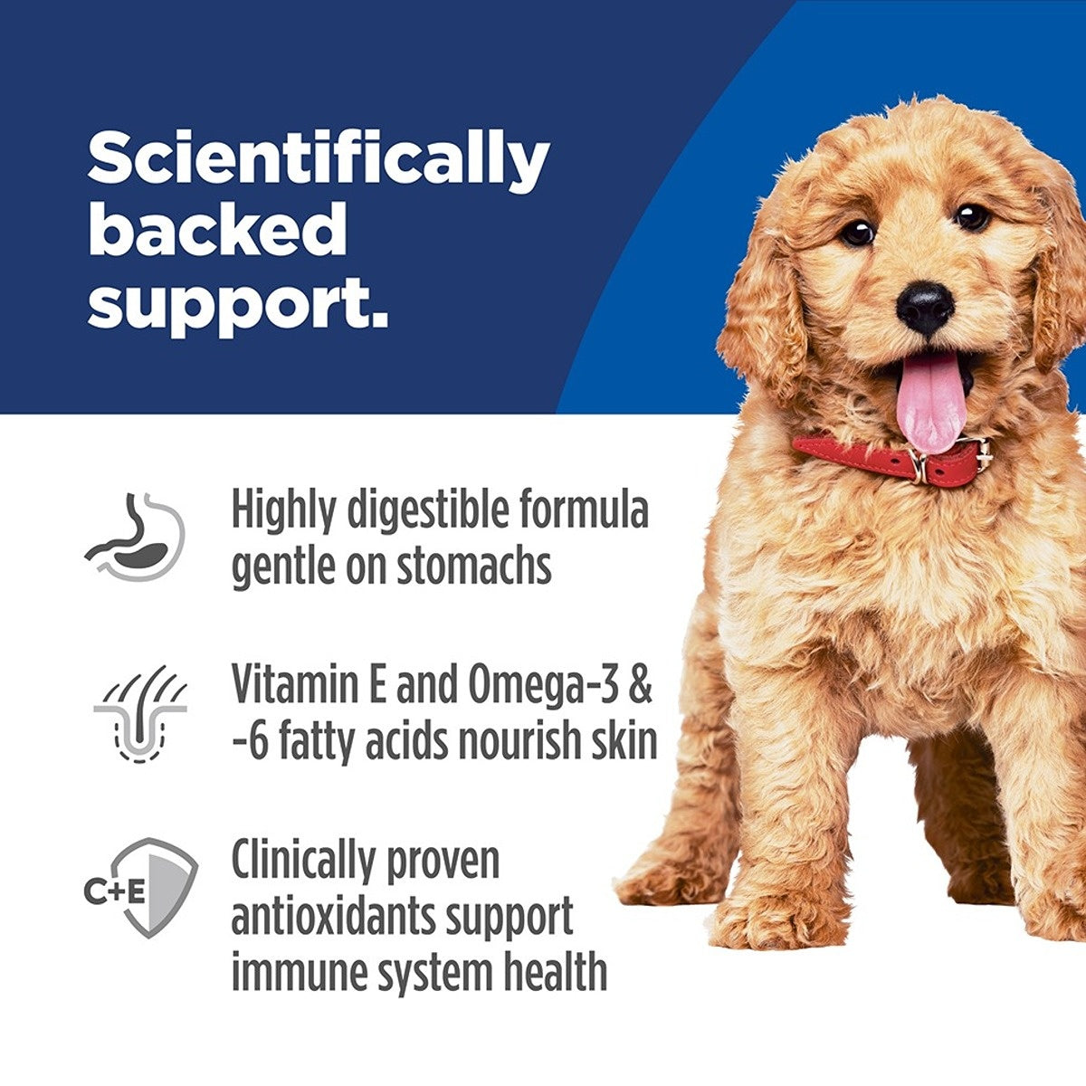 Hill's Science Diet Puppy Sensitive Stomach & Skin Salmon Dry Dog Food