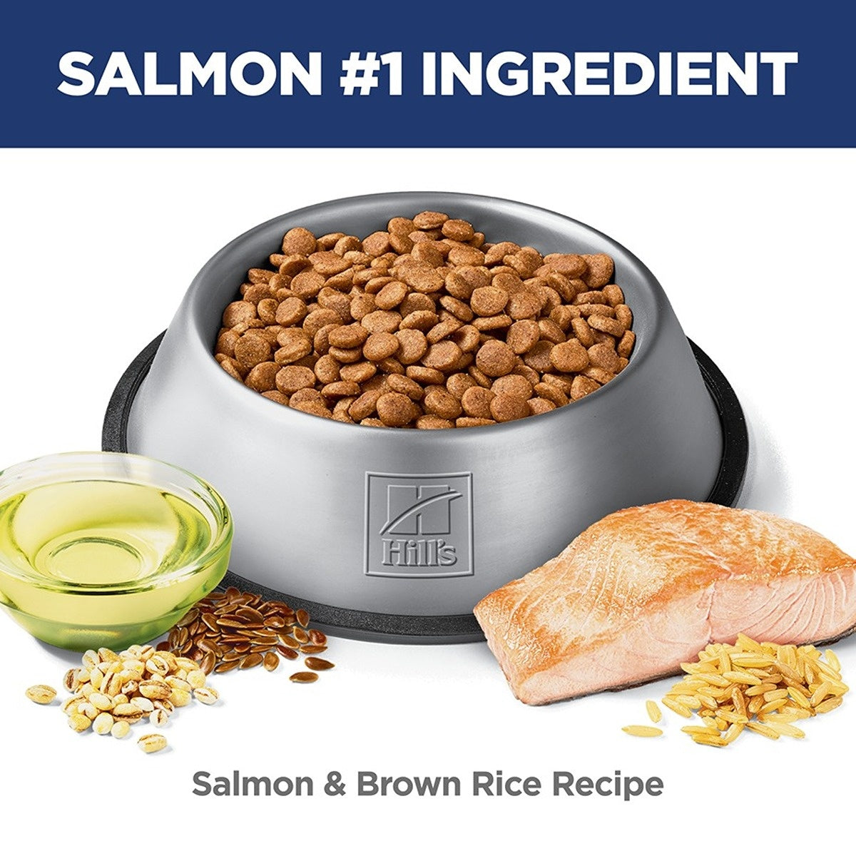 Hill's Science Diet Puppy Sensitive Stomach & Skin Salmon Dry Dog Food
