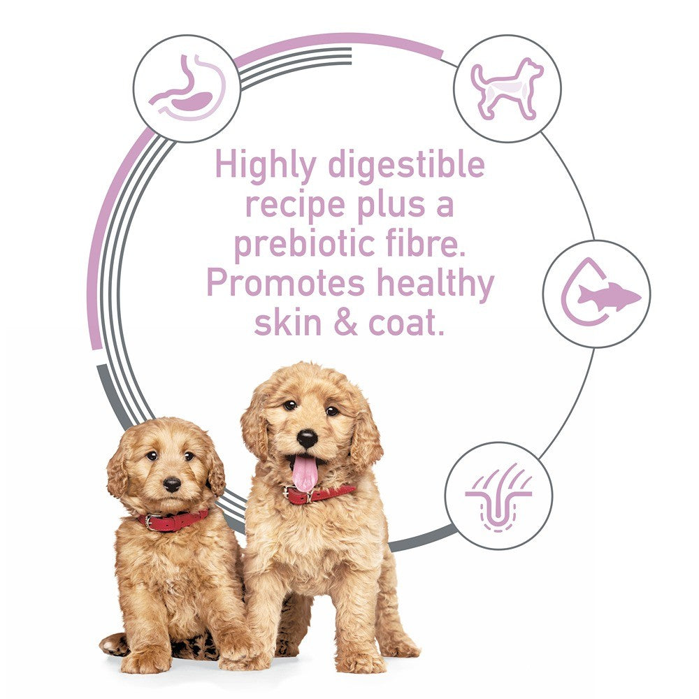 Hill's Science Diet Puppy Sensitive & Skin Salmon & Veg Stew Wet Dog Food